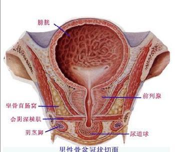 苏州前列腺肥大怎么治疗