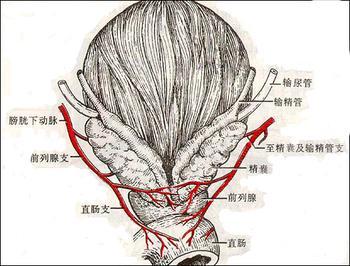 苏州看生殖疱疹的医院哪家比较好呢