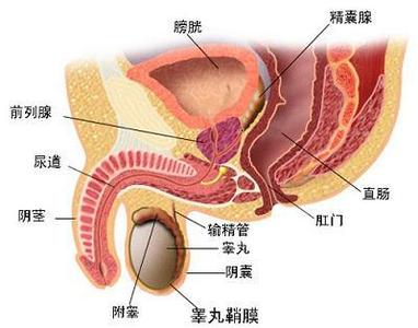 男性急性尿道炎症状是什么