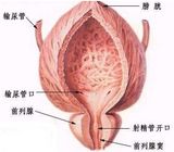 前列腺炎会导致性功能障碍吗