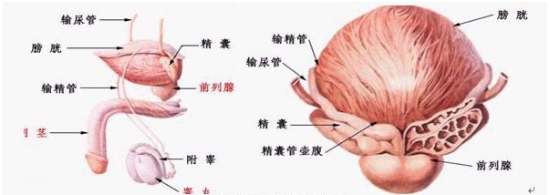 石河子治疗前列腺炎花多少费用?