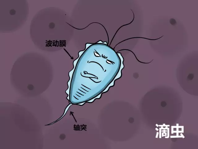 苏州治疗滴虫阴道炎医院