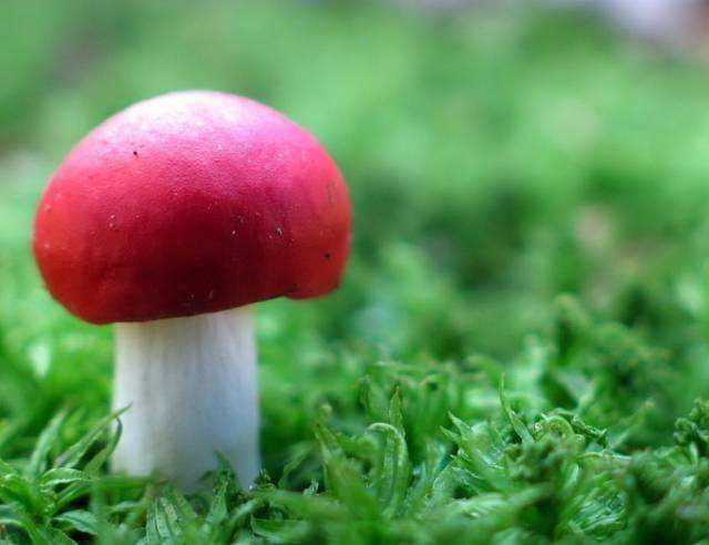 苏州割包皮手术医院